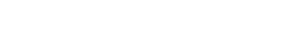 The Web Studios